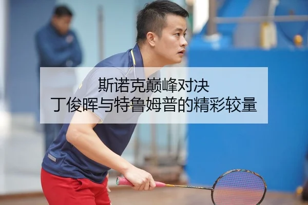 斯诺克巅峰对决 丁俊晖与特鲁姆普的精彩较量